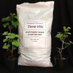 Terra Vitis Planting Mix - .5 cu. ft.