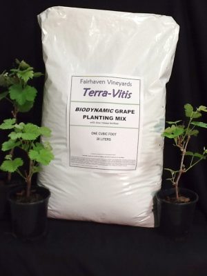Terra Vitis Planting Mix - 1 cu. ft.