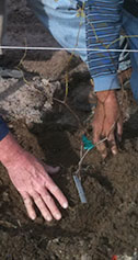 Vineyard Installation Services